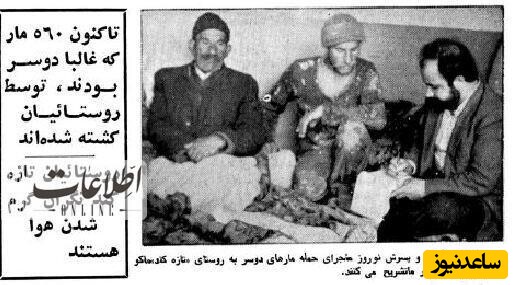 حمله عجیب مارهای دوسر به اهالی روستا/ عکس
