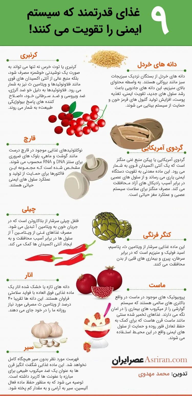9 غذای قدرتمند برای تقویت سیستم ایمنی انسان/ اینفوگرافی