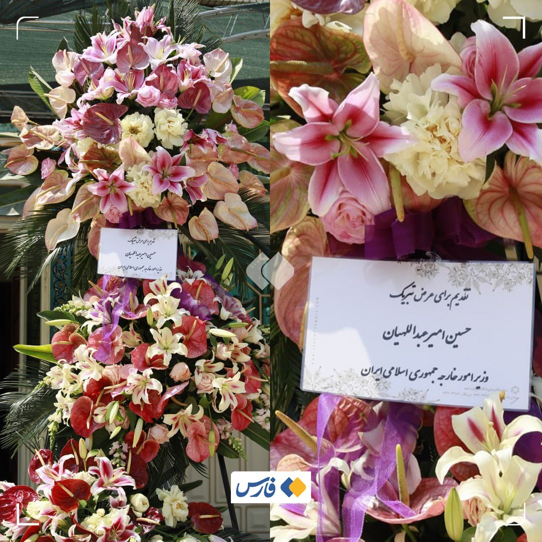 اقدام جالب امیرعبداللهیان برای تشکر از سردار حاجی‌زاده/ عکس
