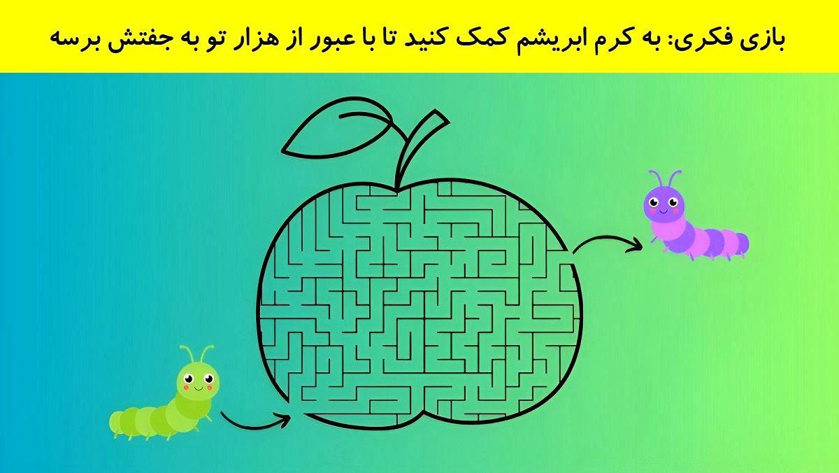 بازی فکری/ به کرم ابریشم کمک کنید تا با عبور از هزار تو به جفتش برسد