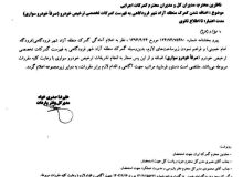 امکان ترخیص خودرو از گمرک فرودگاه امام