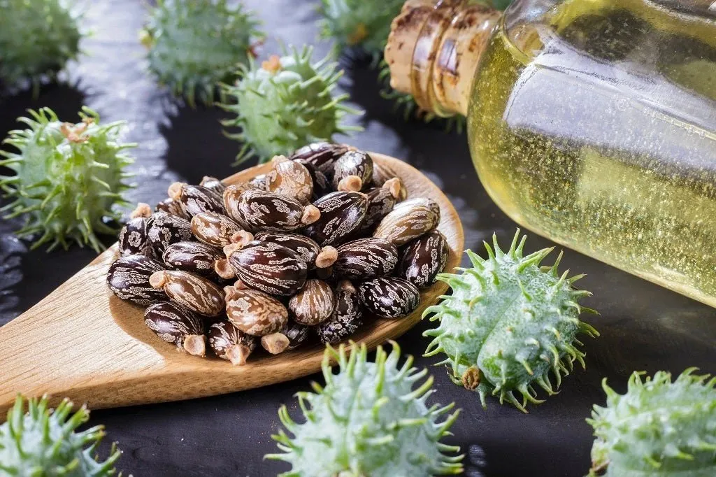 روغن کرچک راهکار مفیدی در کاهش وزن است؟