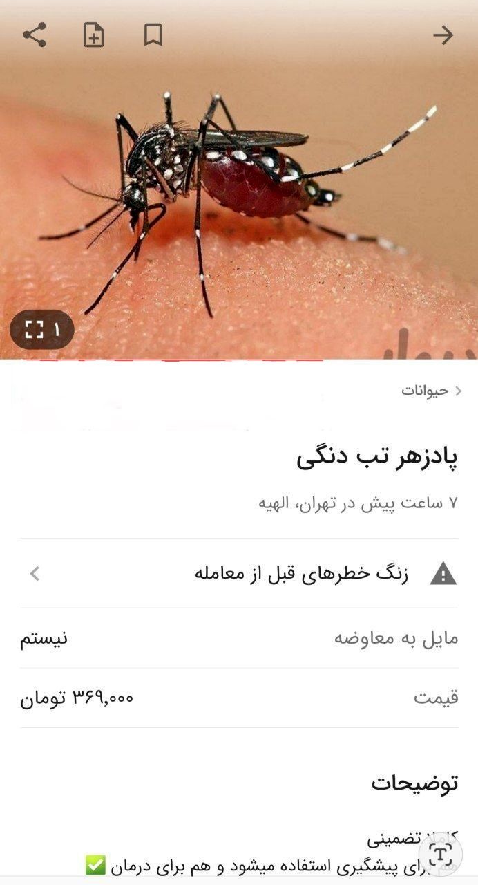 کلاهبرداری با پشه آئدس و تب دنگی!