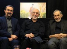 دیدار صالحی، سنایی و تخت روانچی با ولایتی