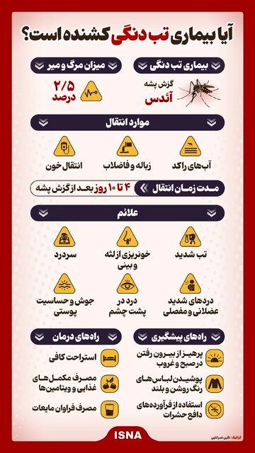 آیا بیماری تب دنگی کشنده است؟/ اینفوگرافیک
