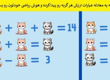 تست هوش/ با توجه به معادله عبارات ارزش هر گربه رو پیدا کنید؟