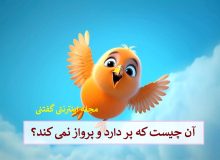 چیستان: آن چیست که پر دارد و پرواز نمی کند؟