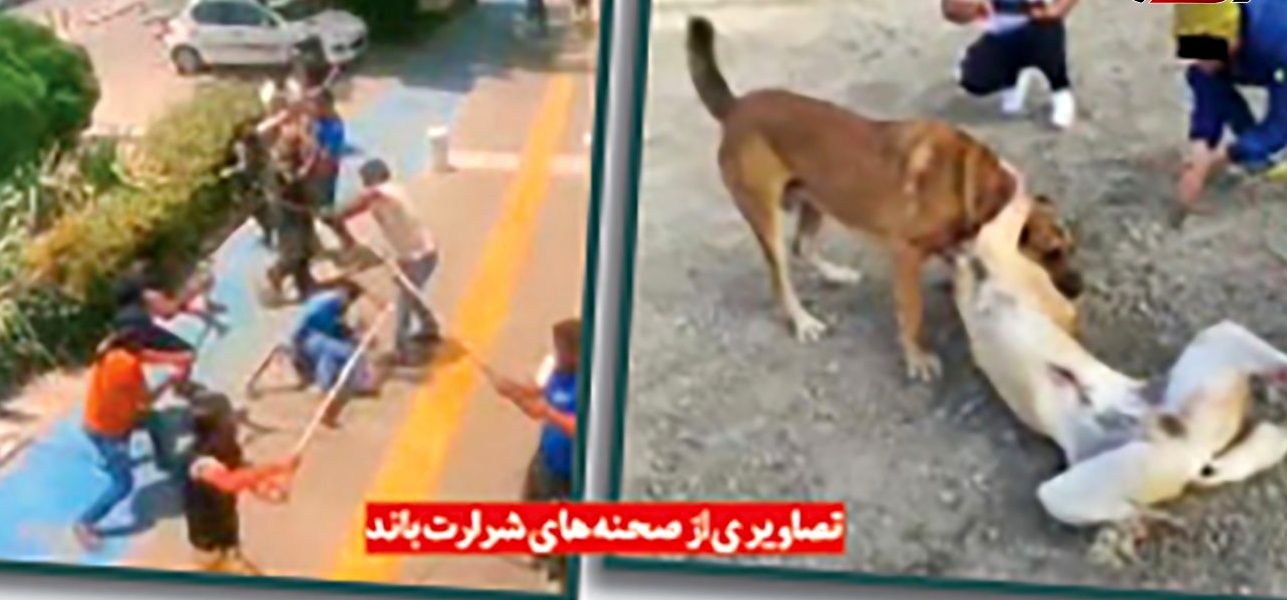 باند مخوف شرارت متلاشی شد