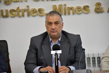 سازمان هدفمندی یارانهها مسئول پرداخت مطالبات گندمکاران/تاخیر در پرداختها ربطی به اصلاح ساز و کارها ندارد