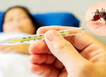 کنترل انتشار ویروس تب دنگی به‌ علت شمار فراوان موارد بدون علامت دشوار است