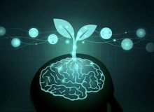 برای تقویت حافظه چی بخوریم؟