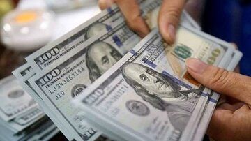 اولین واکنش قیمت دلار و سکه به خبر انتصاب علی طیبنیا/ بازار ارز وارد فاز جدید شد