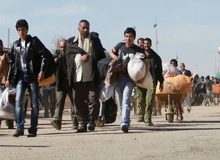 طرح جدید شناسایی افغان ها در ایران؛ اخراج ها آغاز شد