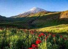 تلاش برای ممنوعیت ورود گردشگران به این دشت