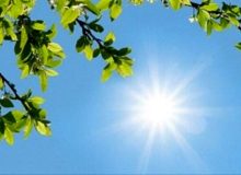 افزایش دمای هوا در شمال کشور