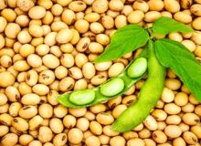 خواص بی نظیر یک آجیل خوشمزه و ارزان
