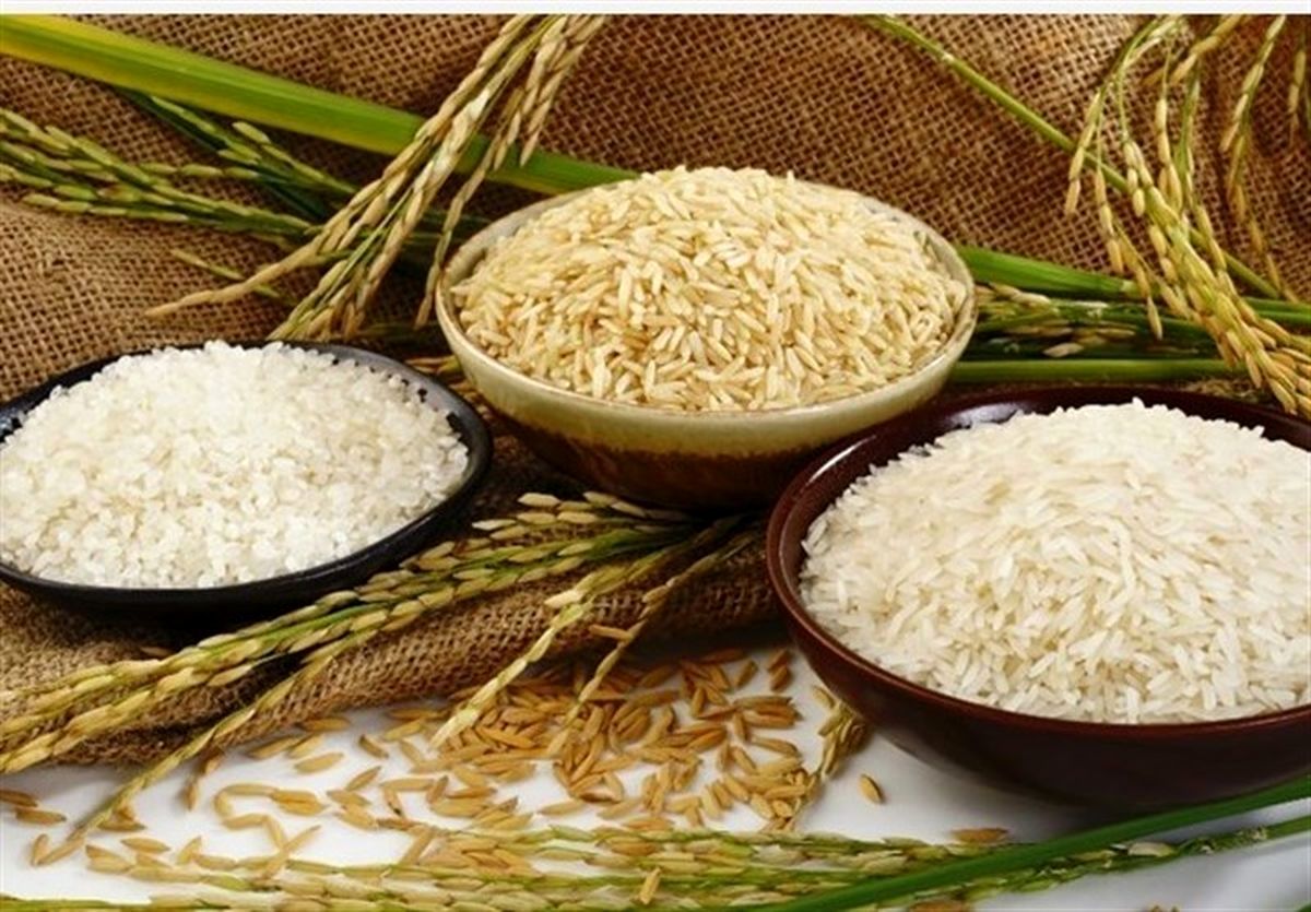 ورود سازمان بازرسی به موضوع خرید تضمینی گندم و برنج