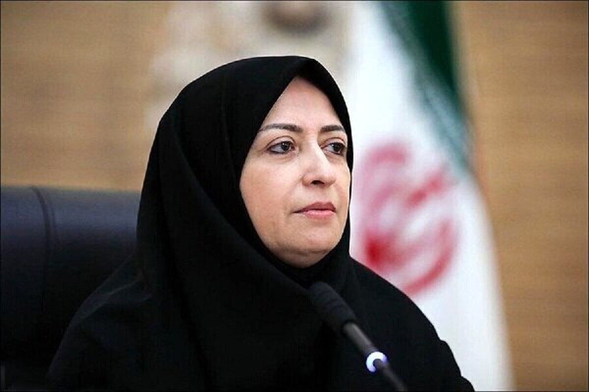 واکنش رئیس سازمان حفاظت محیط زیست به تخریب جنگل‌های الیمالات