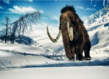 احیای مجدد ماموت‌های منقرض شده، تا ۴ سال دیگر!