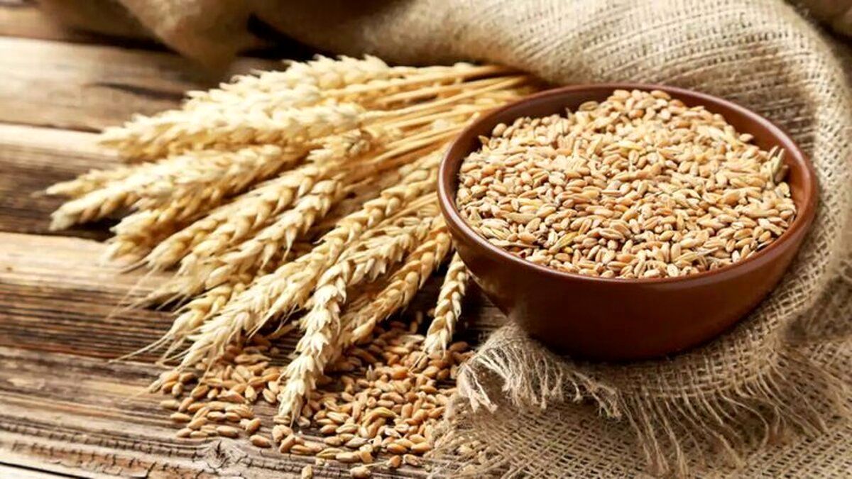 ۲ نفر باعث عدم تعیین نرخ خرید تضمینی گندم شدند