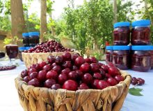 اشنویه آماده میزبانی از جشنواره هفتم گیلاس است/ثبت در تقویم رویدادهای گردشگری