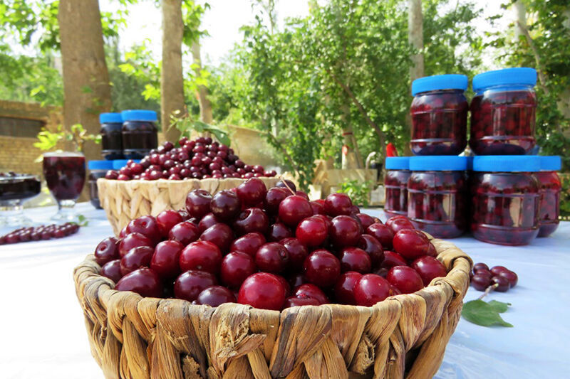 اشنویه آماده میزبانی از جشنواره هفتم گیلاس است/ثبت در تقویم رویدادهای گردشگری