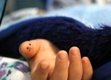 مرگ تلخ کودک ۳ ساله کرمانی