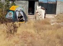 هنرمند سینمای دهه ۶۰ در حاشیه تهران چادرنشین شد