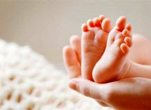 پیرترین پدر و مادر‌ها کدام استان زندگی می‌کنند؟