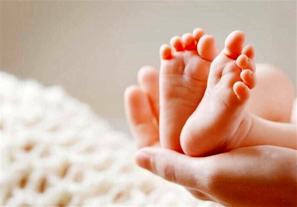 پیرترین پدر و مادرها کدام استان زندگی میکنند؟