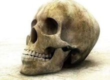 معمای کشف جمجمه یک انسان در سعادت‌آباد تهران