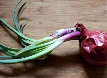 خوردن پیازی که جوانه زده خطرناک است؟