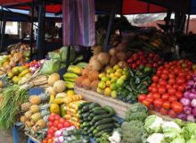 چرا خیار کمیاب شد؟/ قیمت باورنکردنی خیار در بازار را ببینید