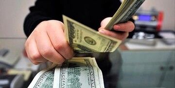 پیش‌بینی معاون اسبق بانک مرکزی از تاثیر نتیجه انتخابات آمریکا روی نرخ ارز