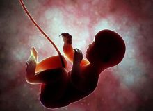 افزایش درخواست مجوز سقط جنین قانونی