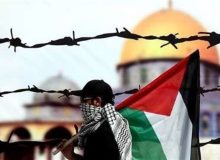 آیا فلسطینی ها ناصبی هستند و به امام علی(ع) توهین می کنند؟/ ویدئو