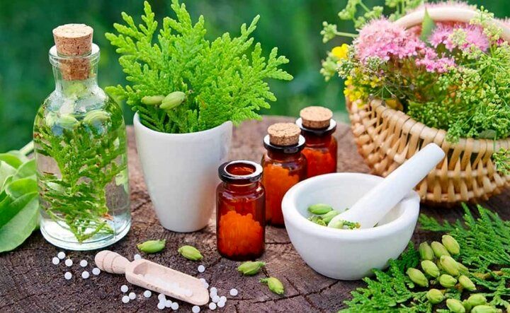 افزایش ۸۷ درصدی صدور مجوز ماده اولیه فراوردههای طبیعی
