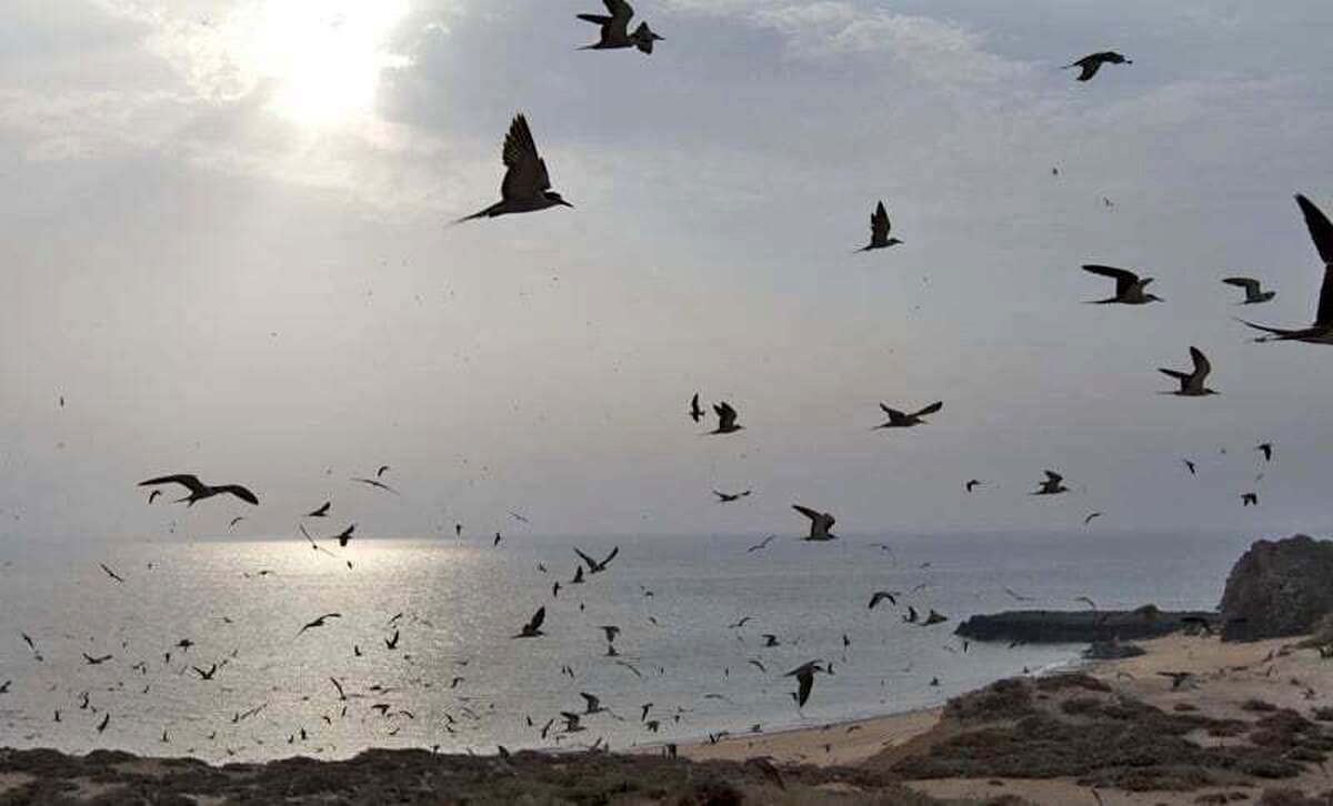 تغییر نام جزیره ابوموسی
