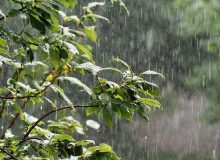 خشکسالی در ۲۲ استان کشور؛ کاهش ۸.۹ درصدی بارش‌ها!