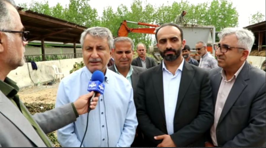 کشت چغندر علوفه‌ای در مازندران تامین کننده خوراک دام کشور