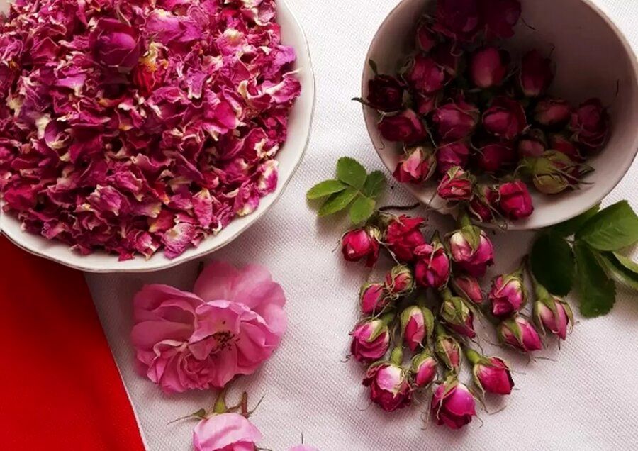 رتبه اول تولید و صادرات این محصول برای ایران
