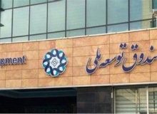 هشدار درباره سرمایه‌گذاری صندوق توسعه ملی در صنعت نفت و خرید بانک / دارید راه فساد را باز می‌کنید