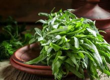فصل حذف عینک با این سبزی گرم و خشک فرا رسید