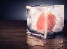 محققان چینی مغز منجمدشده انسان را دوباره زنده کردند