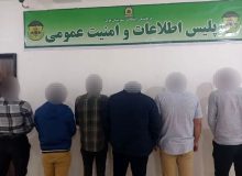 ۶ مرد و یک زن که در فضای مجازی به شهدای خدمت توهین کرده بودند، بازداشت شدند