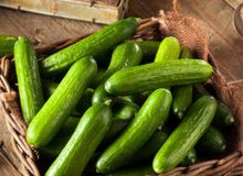چه کسانی باید از خوردن خیار پرهیز کنند؟
