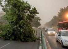 تهرانی‌ها امشب مراقب باشند؛ خطر تردد در این مناطق
