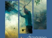 جوایز برندگان مسابقه عکاسی حوادث و سوانح برگزار می‌شود