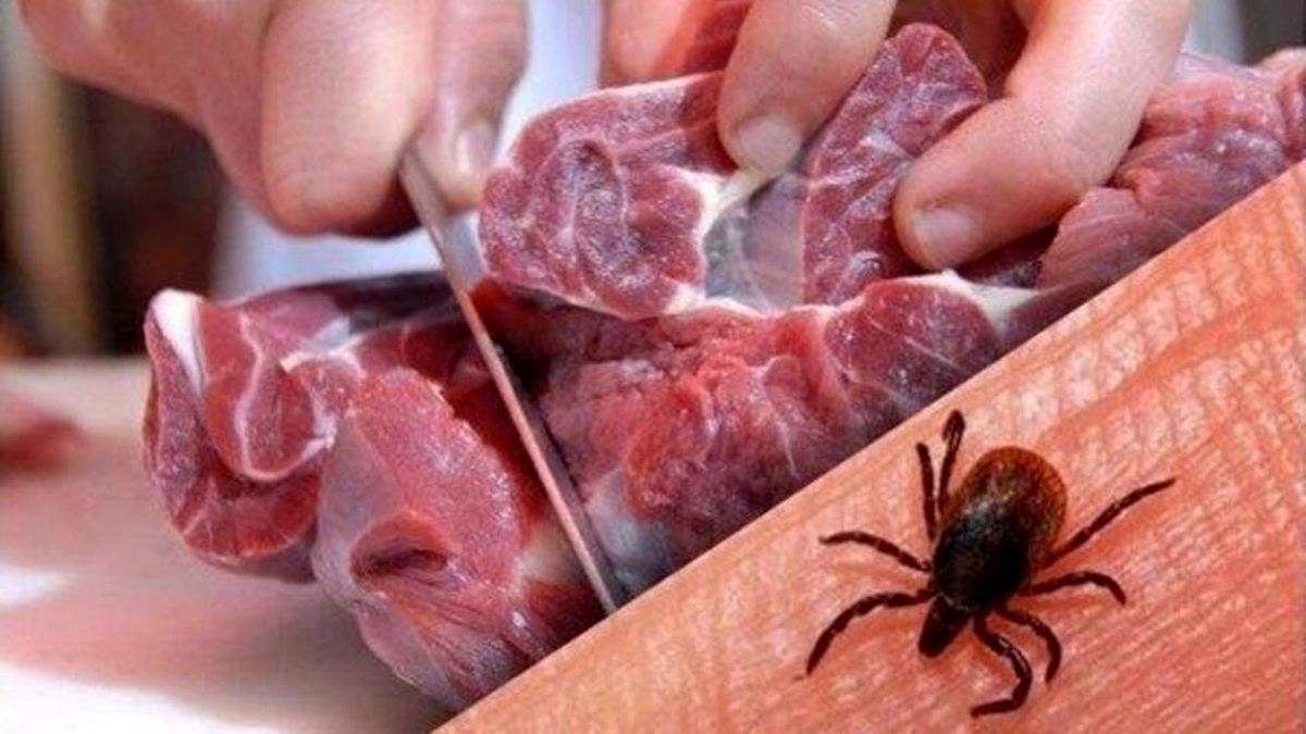 هشدار درباره “تب کریمه کنگو” در آستانه عید قربان