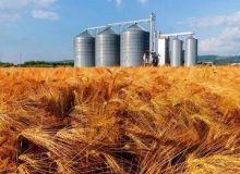 به خطرافتادن امنیت غذایی تاوان جیره بندی برق در اصفهان